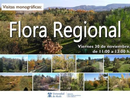 Visita monográfica: Flora regional. Jardín Botánico