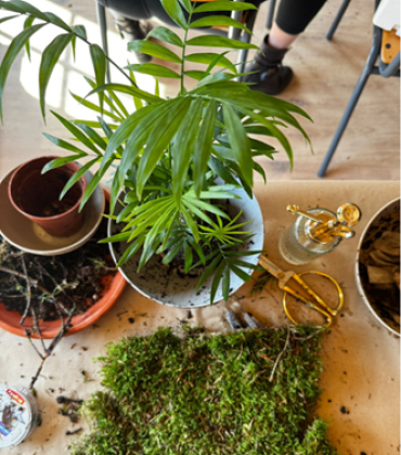 Taller de Kokedama