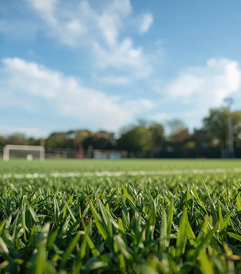Comienzo de las escuelas deportivas