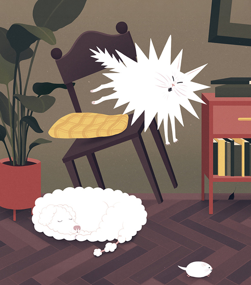 Día del Cómic y el Tebeo 2026