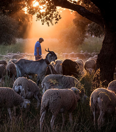 Encuentro con Katy Gómez Catalina