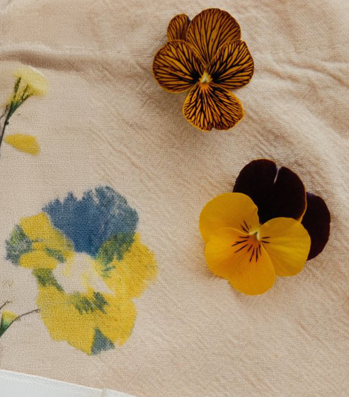 Taller de estampación floral (marzo 2026)