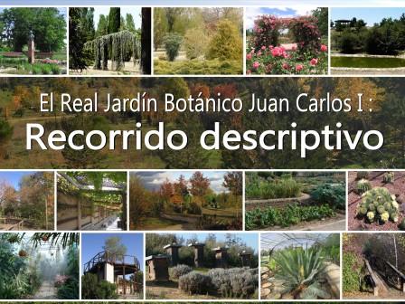 Paseo de febrero del Jardín Botánico: presentación y recorrido descriptivo