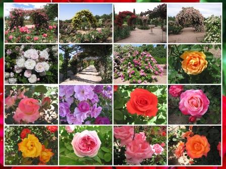 Paseo de mayo del Jardín Botánico: La Rosaleda