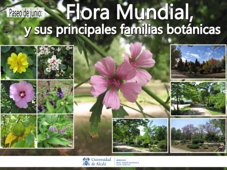 Paseo de junio del Jardín Botánico: Flora mundial y principales familias botánicas