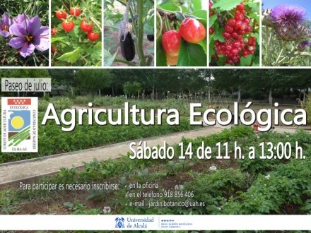 Paseo de julio del Jardín Botánico: Agricultura ecológica
