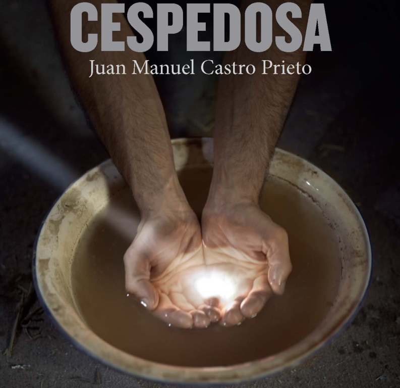Exposición CESPEDOSA, de Juan Manuel Castro Prieto