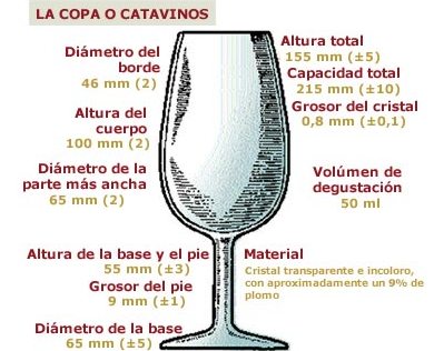 Cata de vinos de Jerez