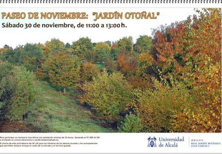 Actividades del Jardín Botánico para el mes de noviembre