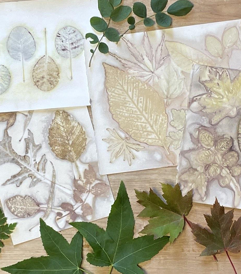 Impresión botánica en papel