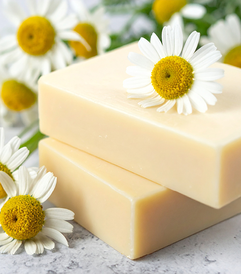 Jabones naturales y extractos botánicos