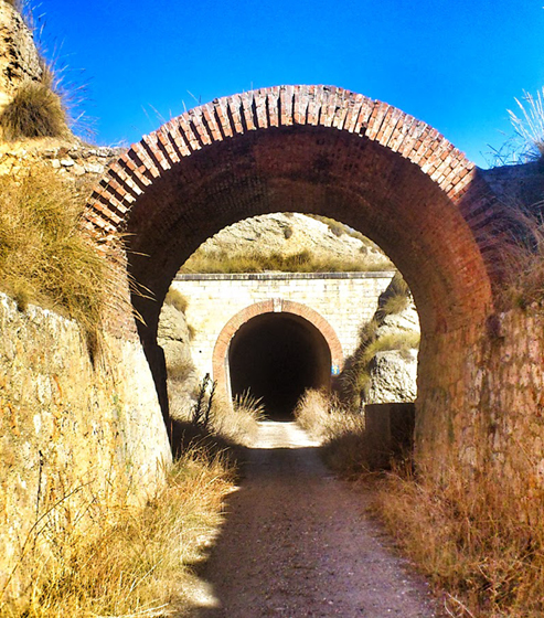 Tren de los cuarenta días