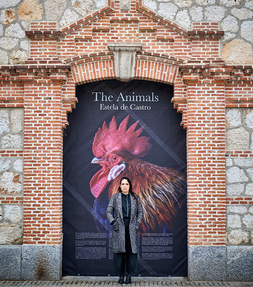 Visita guiada con Estela de Castro